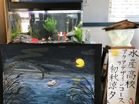写真9