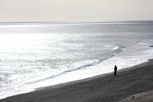 (写真)広の浜の風景