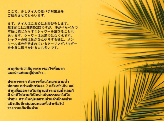 CIRN THSummer04