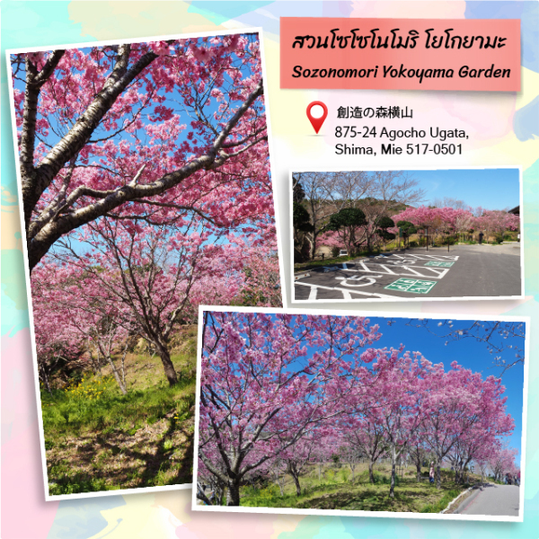 Nature 09