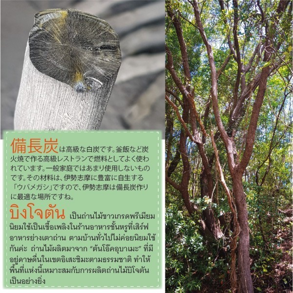 CIRN Binchoutan 03