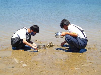 R8年度 生き物調査3