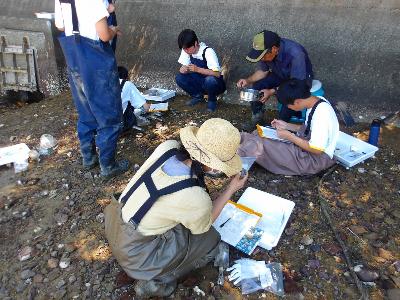 R7年度 生き物調査8
