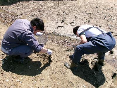 R7年度 生き物調査3