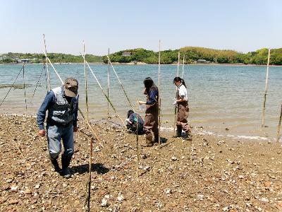R7年度 生き物調査2