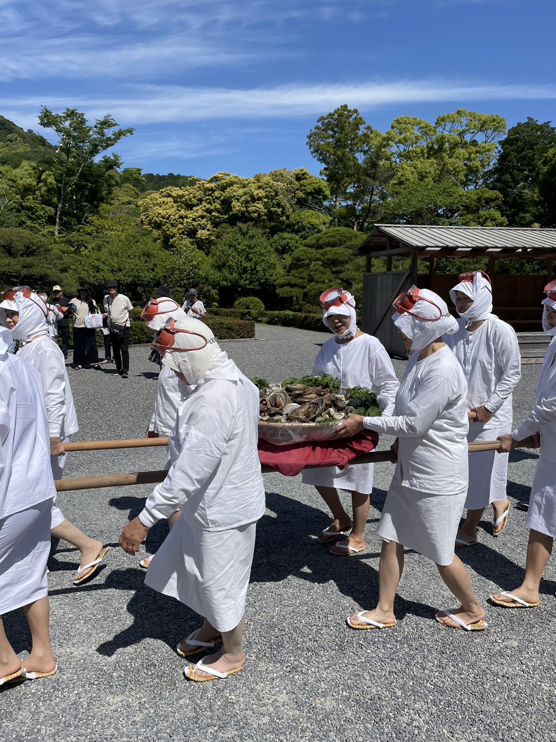 白い海女着に身を包みあわびを運ぶ海女さんたち