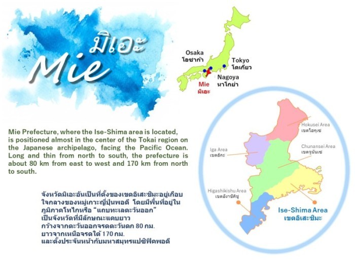 CIRN Mie022