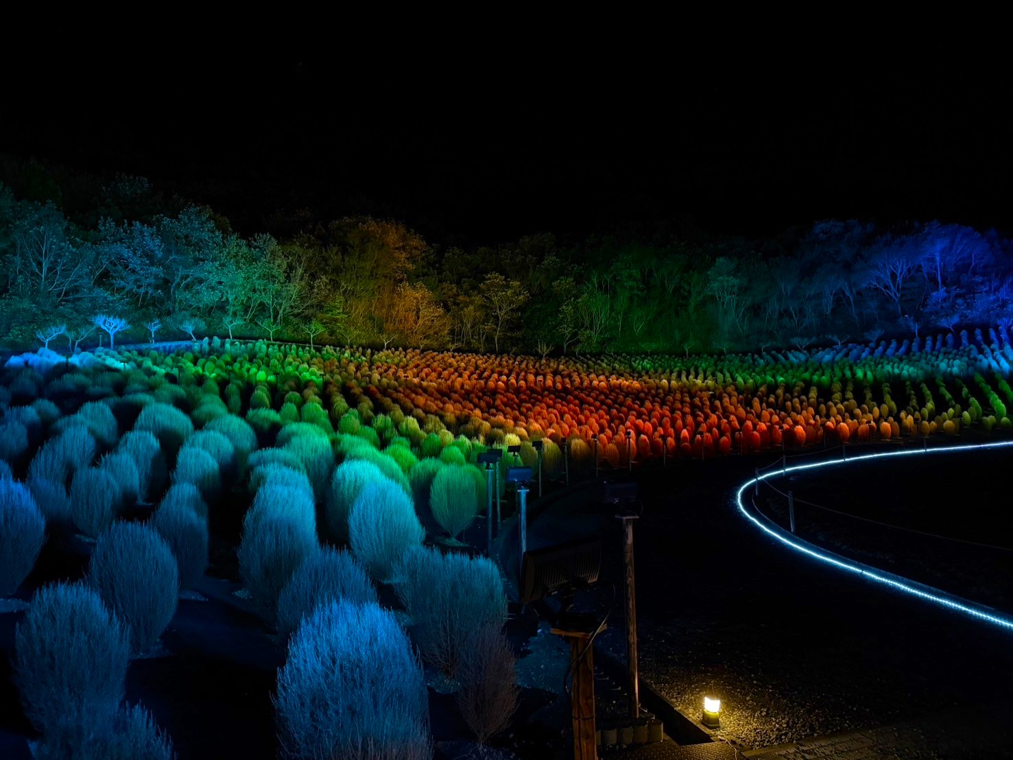 志摩市観光農園ライトアップイベント