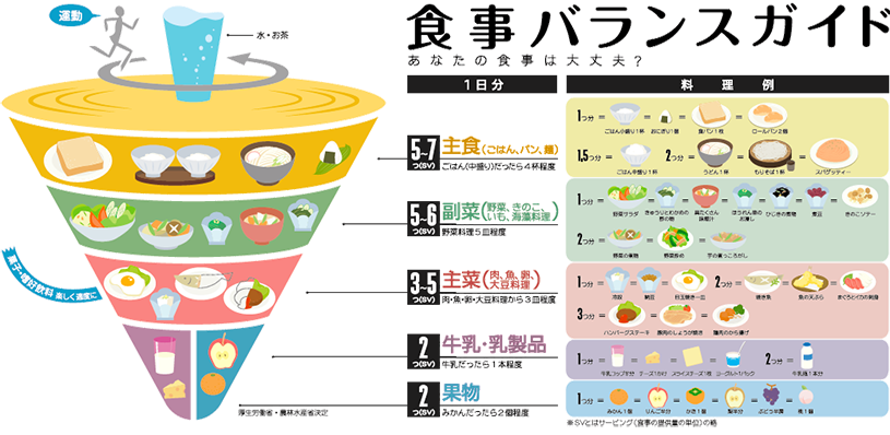 食事バランスガイド