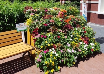 市立図書館の国体飾り花2