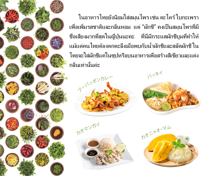 CIRN Thai food 08