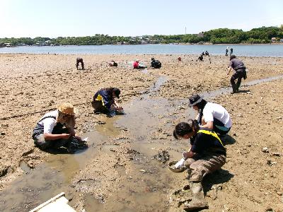 R6年度 生き物調査4
