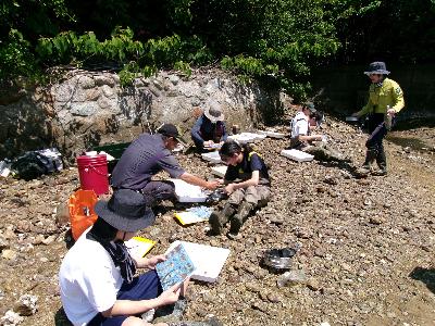 R6年度 生き物調査6
