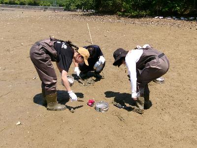 R6年度 生き物調査1