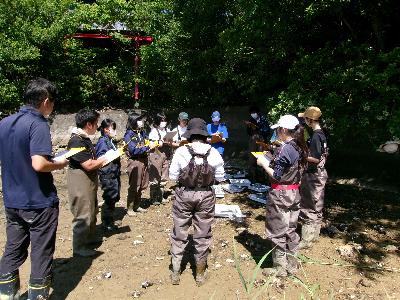 R6年度 生き物調査8