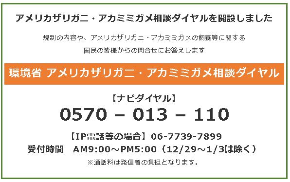 アメリカザリガニ・アカミミガメ相談ダイヤル