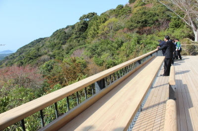 木もれ日テラス