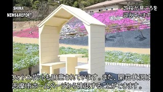 SHIMA NEWS & REPORT 94号 「志摩市観光農園の芝桜が見ごろを迎えています」