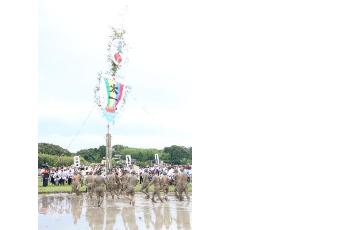 御田植祭 竹取り