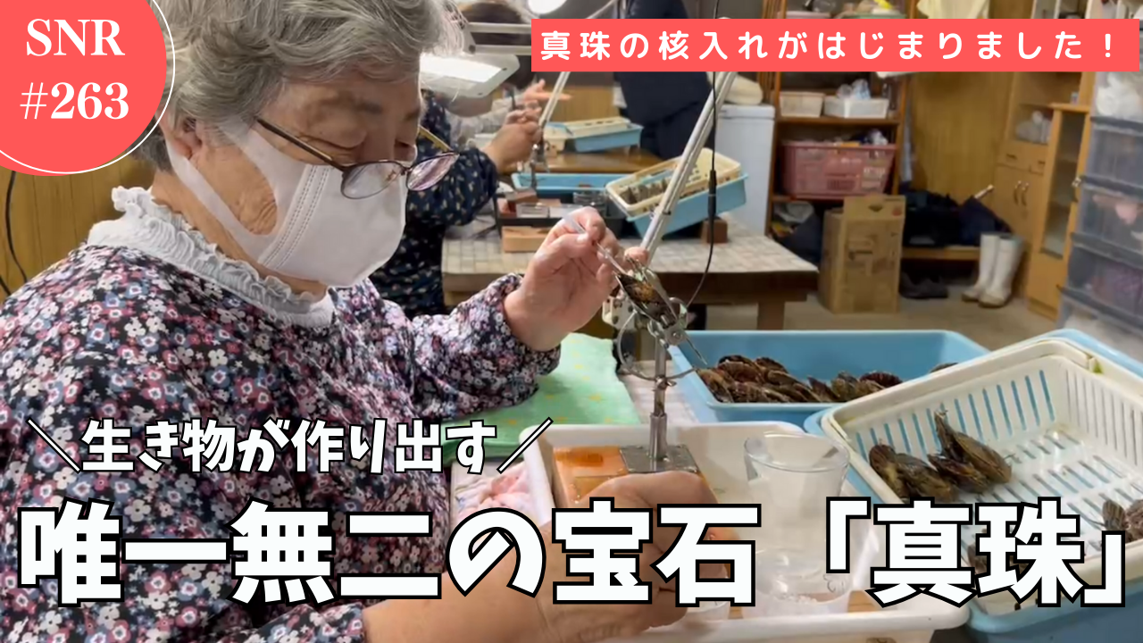 志摩ニュースアンドレポート263号のサムネイル