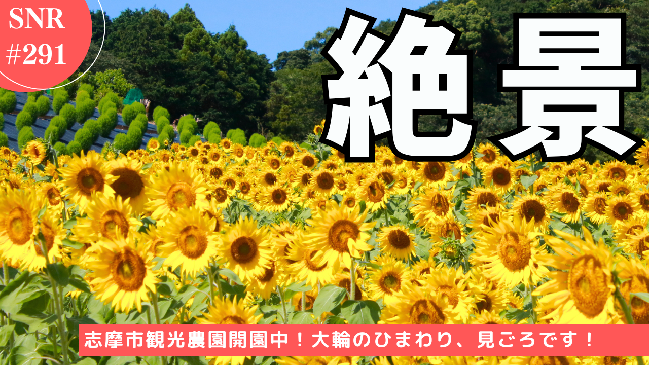 志摩ニュースアンドリポート291のサムネイル