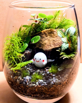 苔テラリウム作成イメージ3